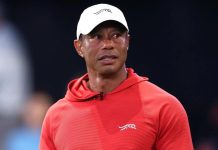 Big Cat in a Predicament Involving Another Vehicle. Is Tiger Still on Path To Compete with the Big Dogs?