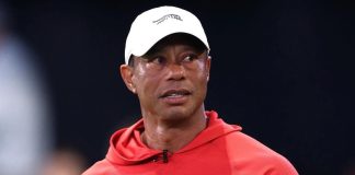 Big Cat in a Predicament Involving Another Vehicle. Is Tiger Still on Path To Compete with the Big Dogs?